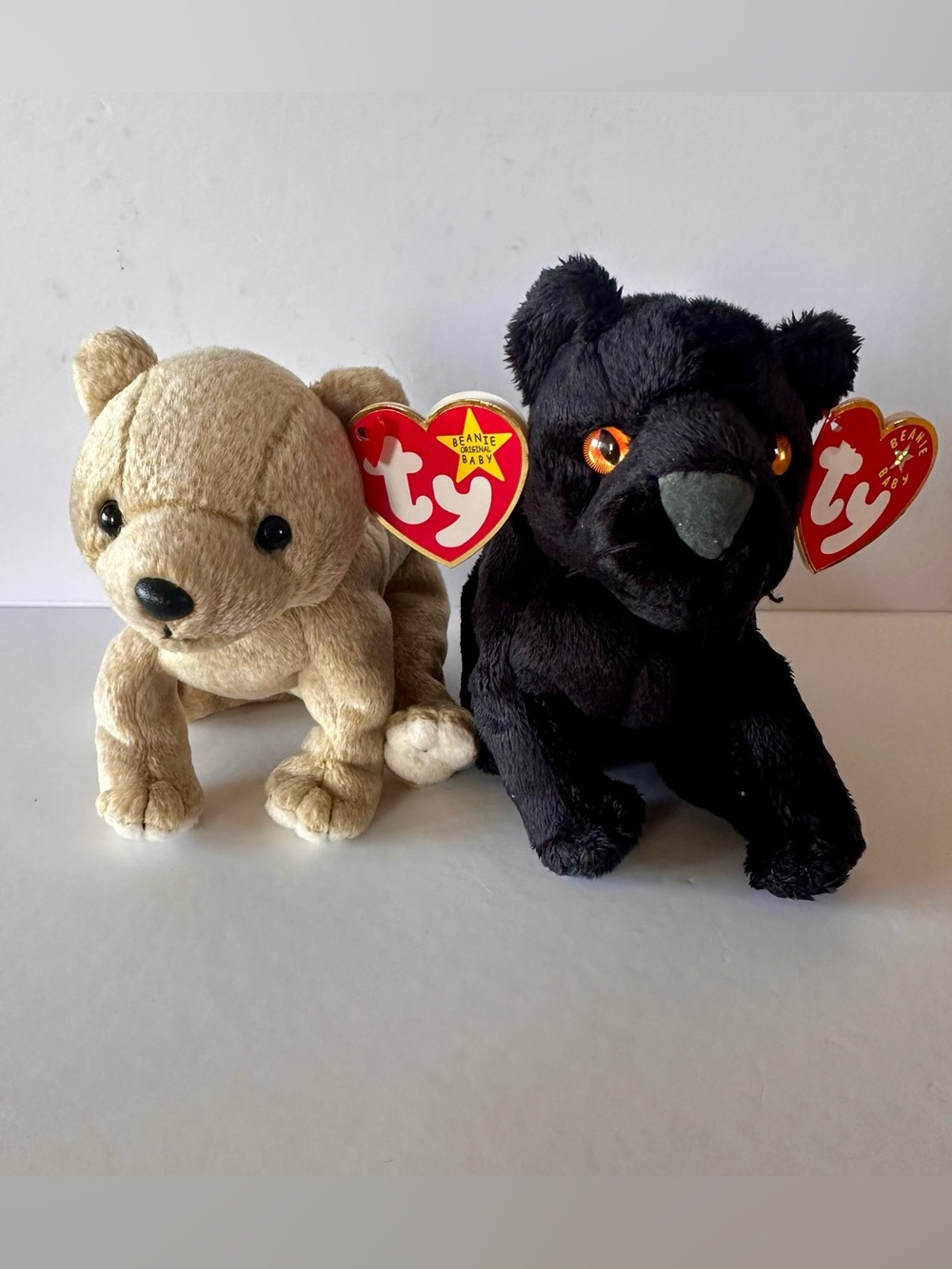 TY Beanie Babies Bear Lot Almond & Midnight 1999 2000 With Tags